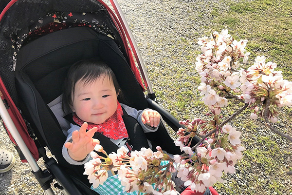 赤ちゃんとの春のお散歩で適している時間帯と注意点