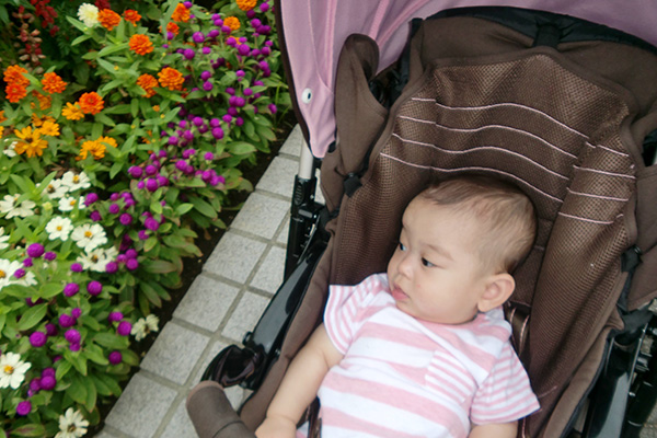 赤ちゃんとの夏のお散歩で適している時間帯と注意点