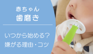 赤ちゃんから始める！子どもの歯磨きの重要性と、嫌がらずに楽しく続けるコツ
