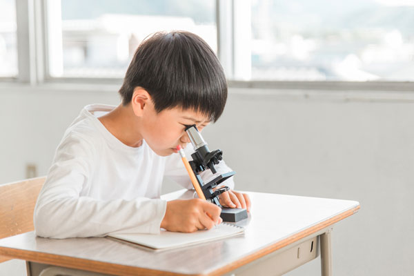 上手な自由研究のまとめ方と注意点