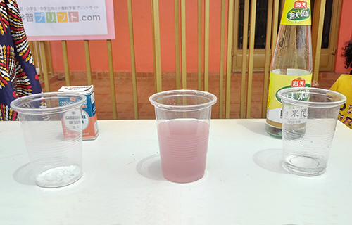 紫玉ねぎの汁で色の実験をしよう