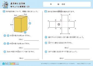 直方体と立方体（特ちょうと展開図）2