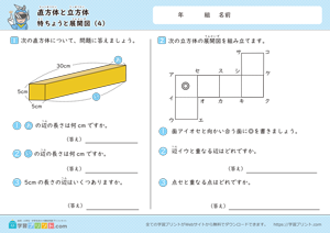 直方体と立方体（特ちょうと展開図）4