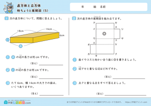 直方体と立方体（特ちょうと展開図）5