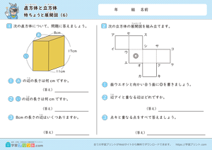 直方体と立方体（特ちょうと展開図）6