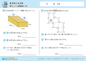 直方体と立方体（特ちょうと展開図）8
