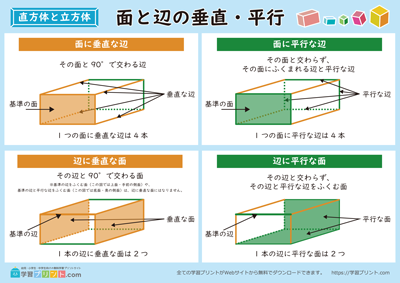 直方体と立方体 面と辺の垂直・平行 A4